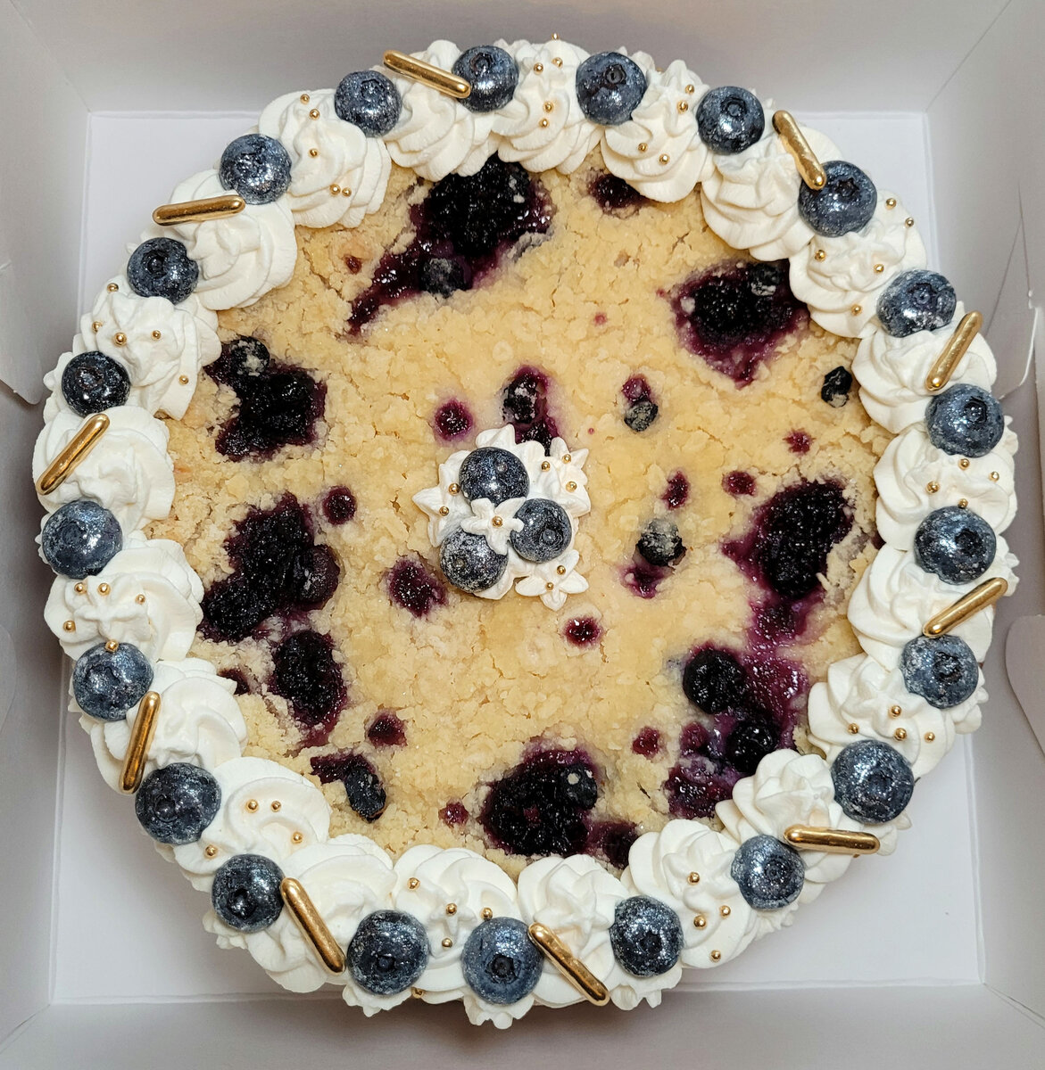 Blueberry Lemon Cheesecake