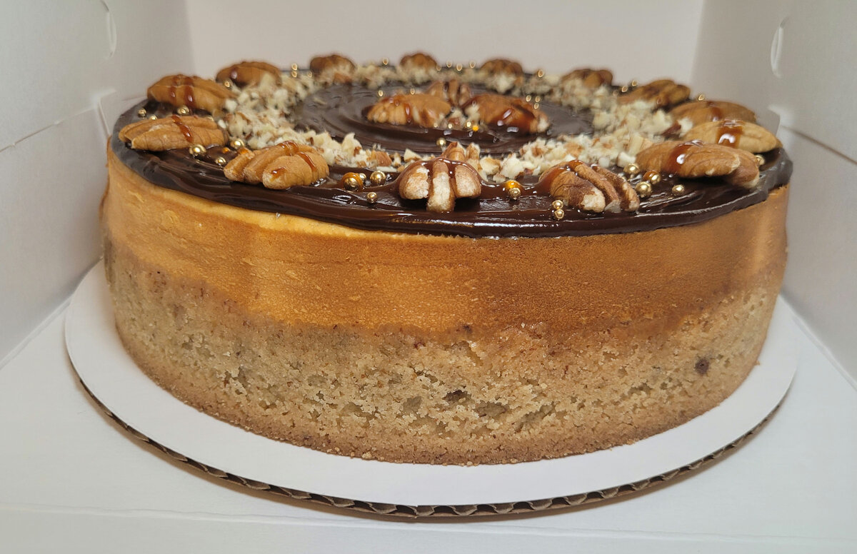 Turtle Cheesecake
