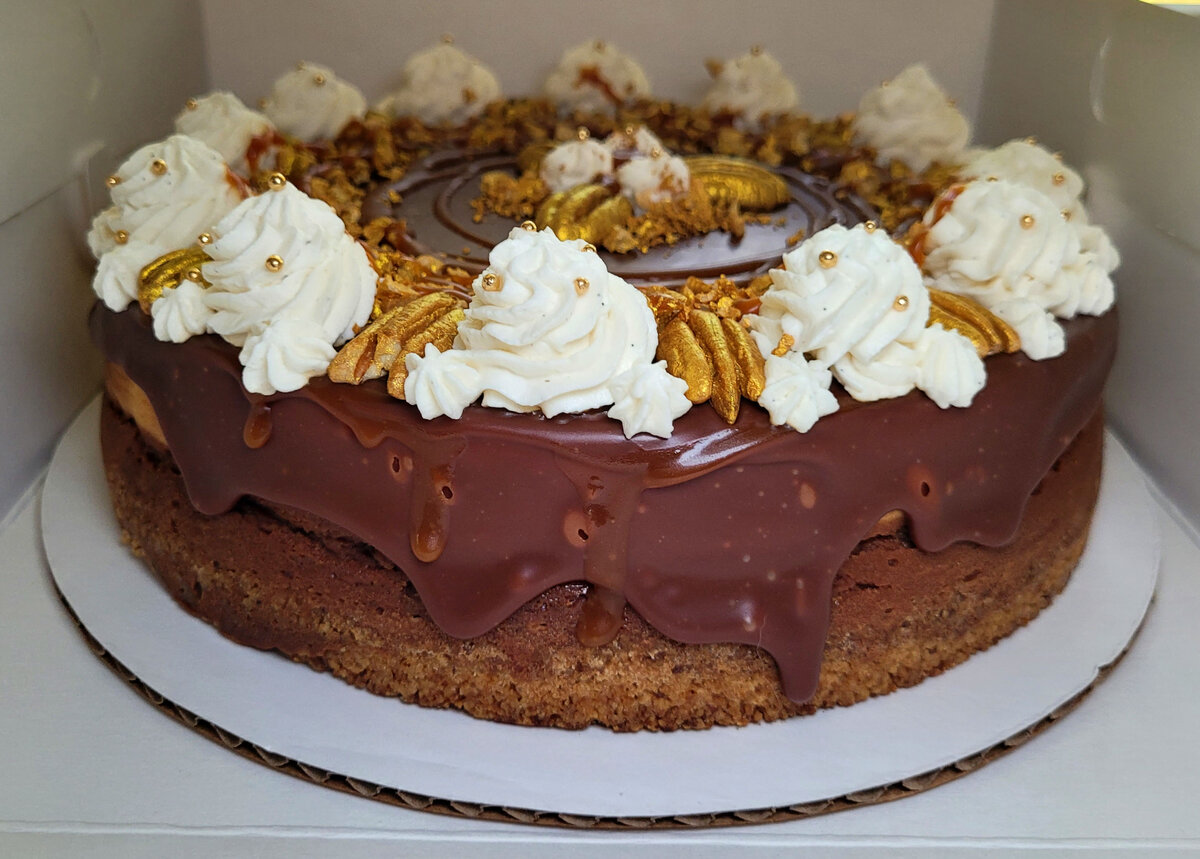 Turtle Cheesecake